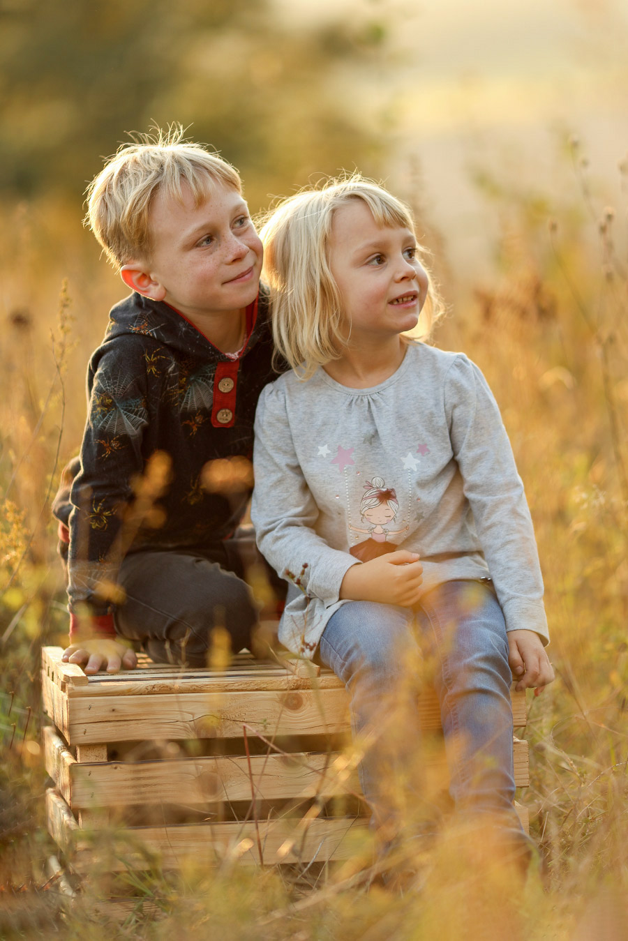 Grafikdesign, Mediendesign